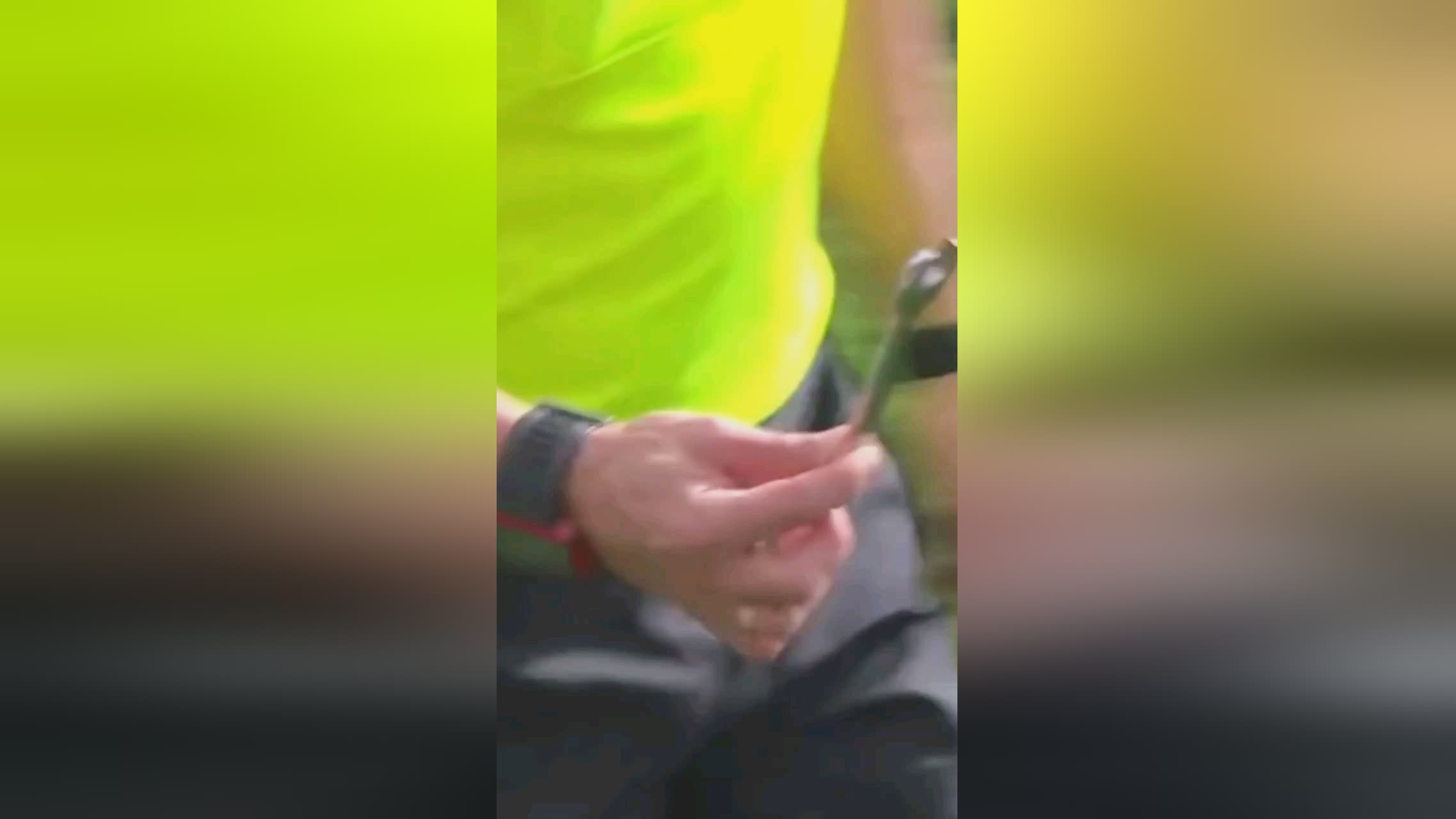 档选